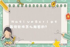 NativeScript最终软件怎么加密的？