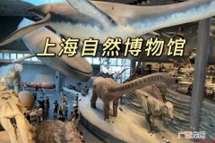 上海自然博物馆在哪里